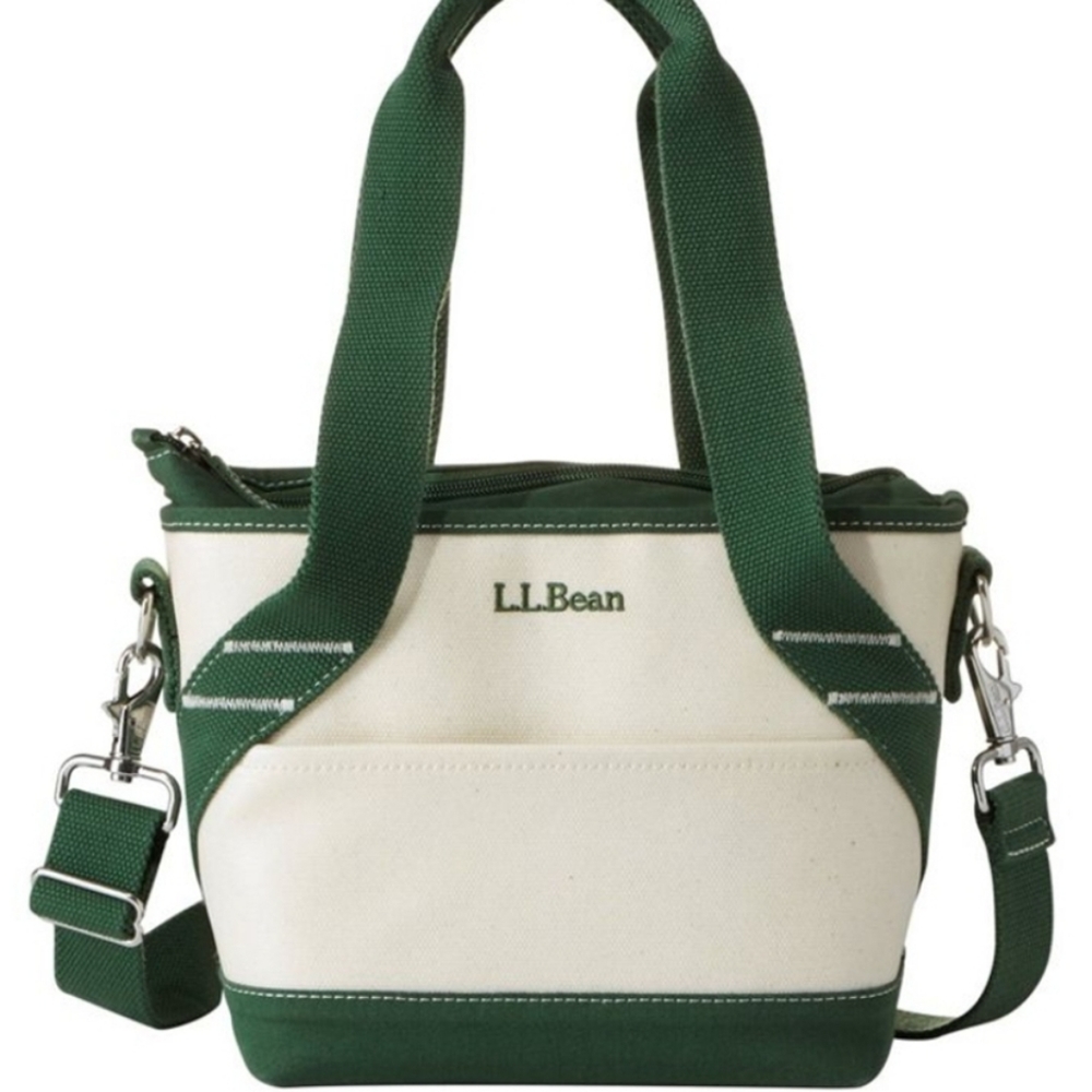NEW L.L. BEAN INSULATED LUNCH Box / Mini Cooler Green & White